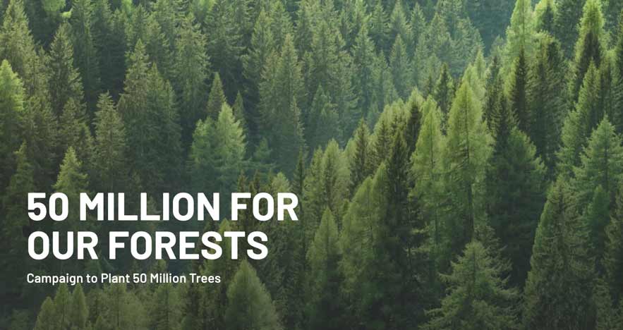 National Forest Foundation